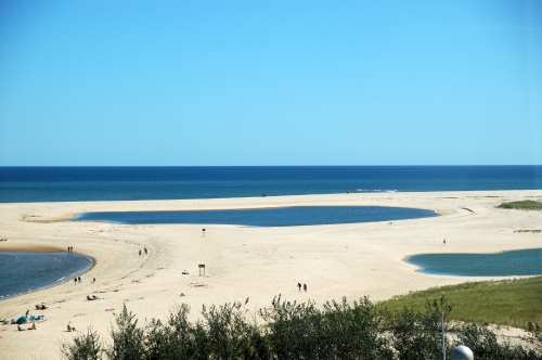 f0115921_1146513.jpg