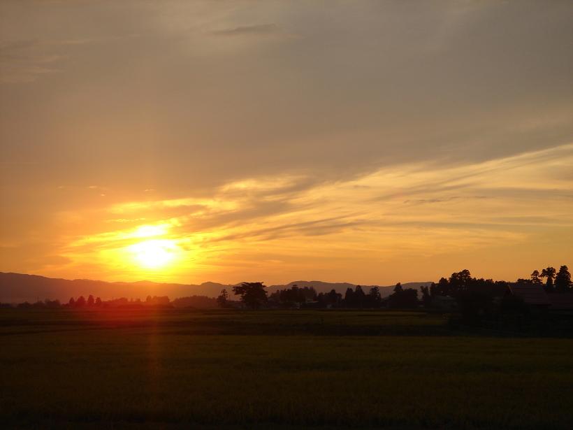 f0131535_15555233.jpg