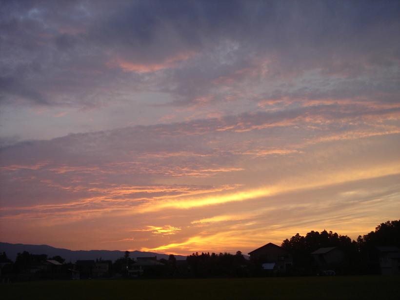 f0131535_15563919.jpg