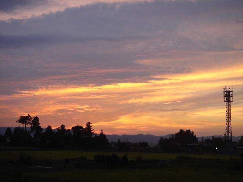 f0131535_1557182.jpg