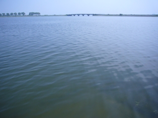 c0122445_16204687.jpg