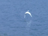 c0122445_16213947.jpg