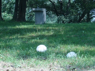 c0122445_16382482.jpg