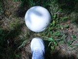 c0122445_171742100.jpg