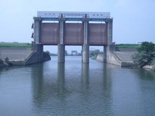 c0122445_17212920.jpg