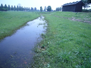 c0122445_17333576.jpg