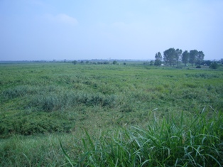 c0122445_1736142.jpg