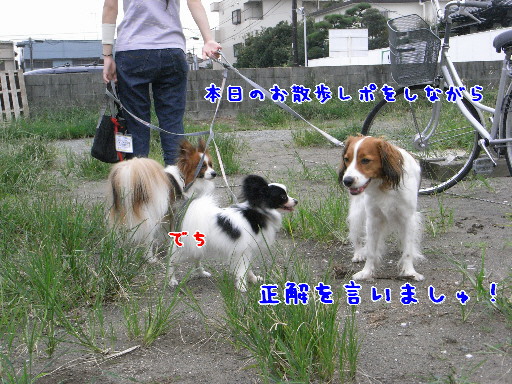 d0013149_1195174.jpg