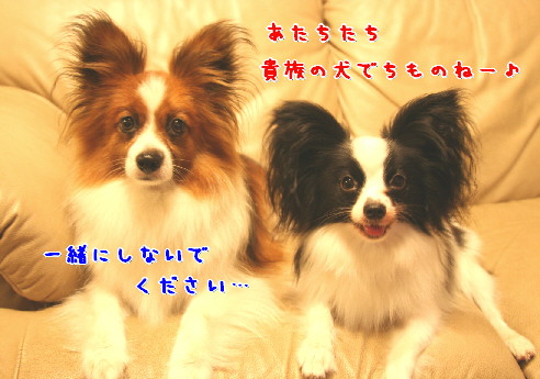 d0013149_1342018.jpg