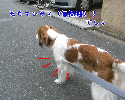 d0013149_140041.jpg