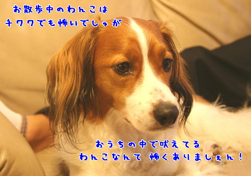 d0013149_1492266.jpg