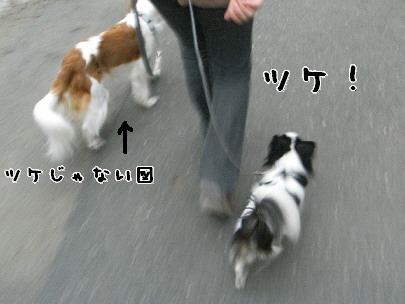 d0013149_2115365.jpg