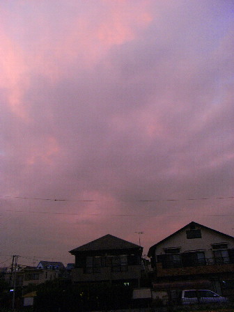 d0013149_2331724.jpg