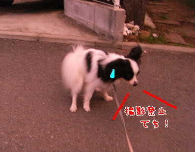 d0013149_2374553.jpg