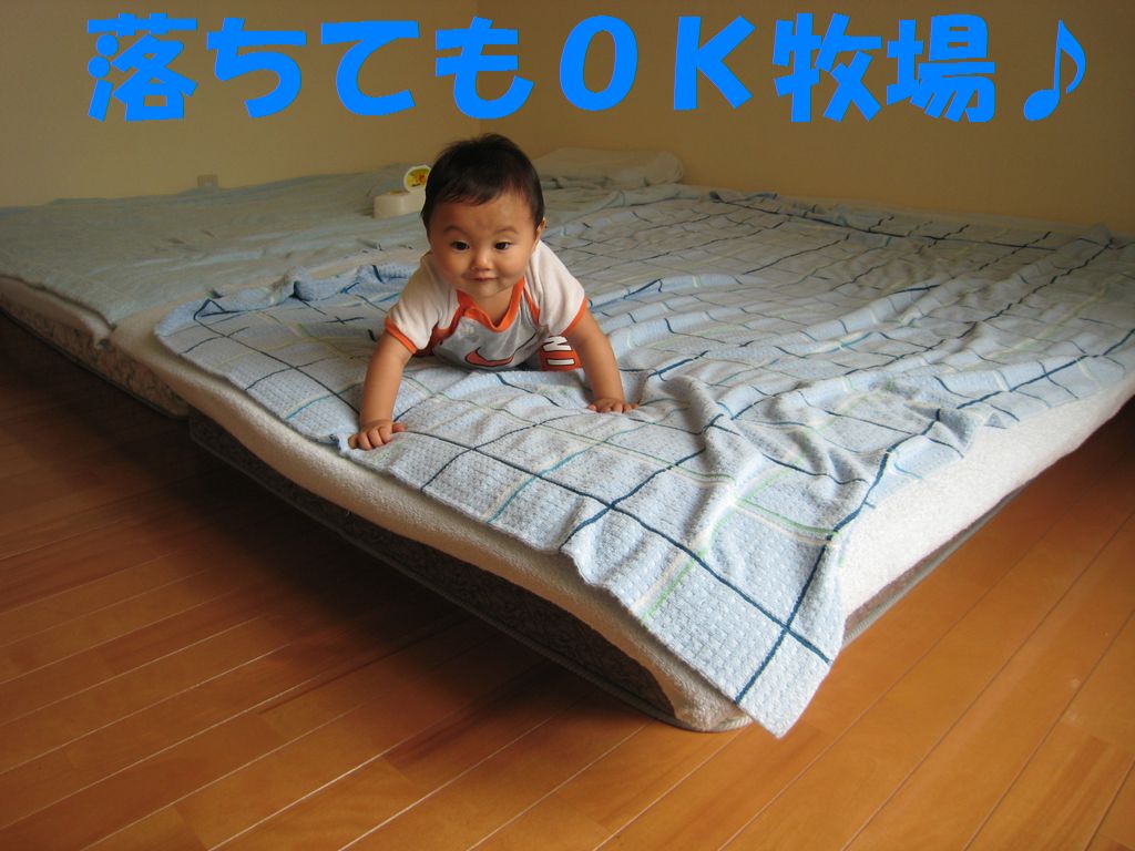 a0090451_12142365.jpg
