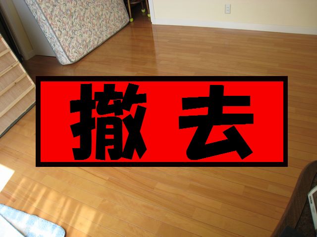 a0090451_1294364.jpg