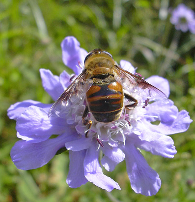 a0001354_2251275.jpg