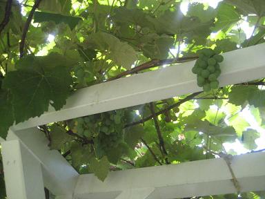 a0075455_2340511.jpg