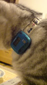 d0029958_1936149.jpg