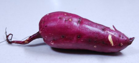 e0020166_985334.jpg
