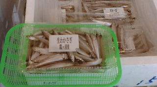f0125585_9304172.jpg