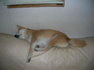 c0123890_21241033.jpg