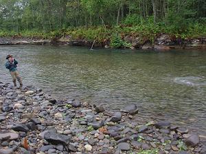 f0069890_152083.jpg