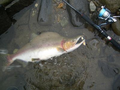 f0069890_245256.jpg