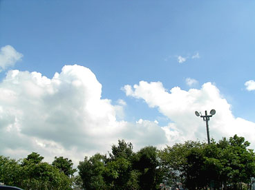 c0096393_23501640.jpg