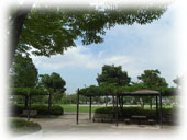 c0096393_23515125.jpg