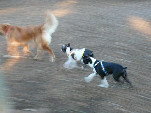 d0070702_835139.jpg
