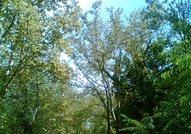 f0021504_32568.jpg