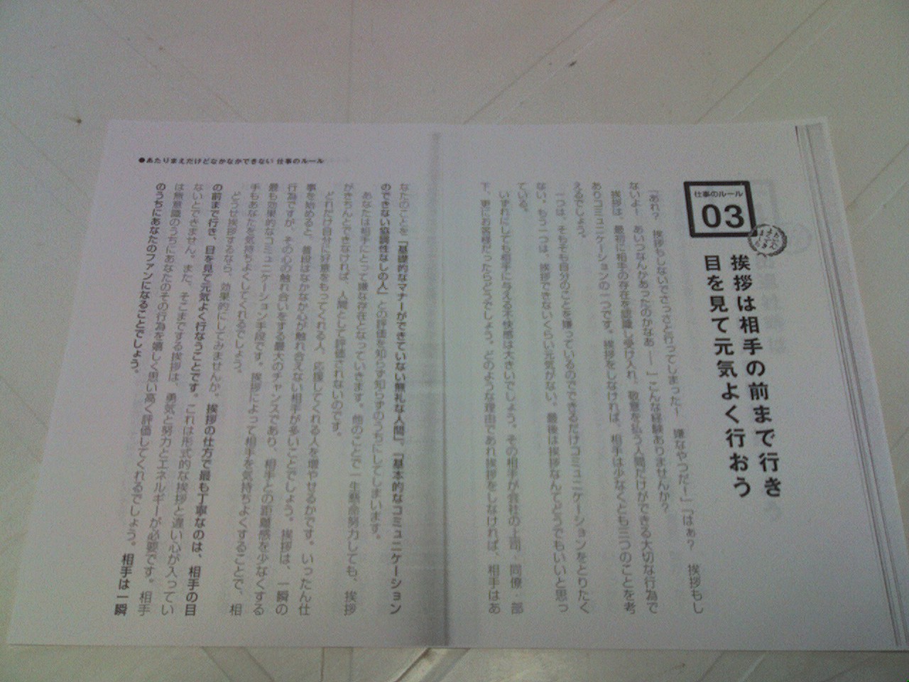 a0054905_745390.jpg