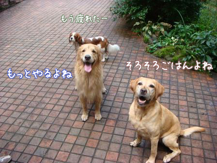 f0064906_1893320.jpg