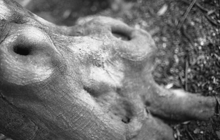 d0071507_19483283.jpg