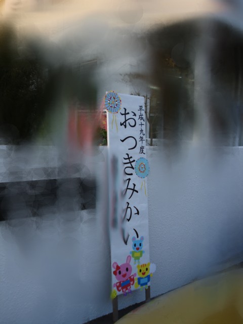 e0015108_8462258.jpg