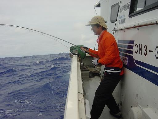 e0123808_113561.jpg