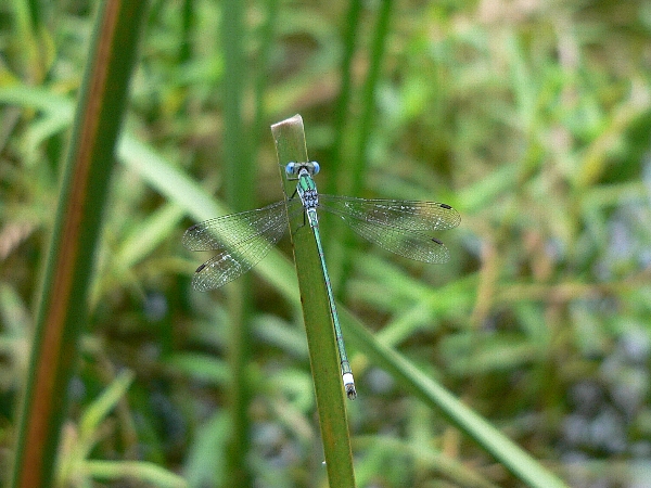 e0002314_1858549.jpg