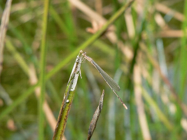 e0002314_18593954.jpg