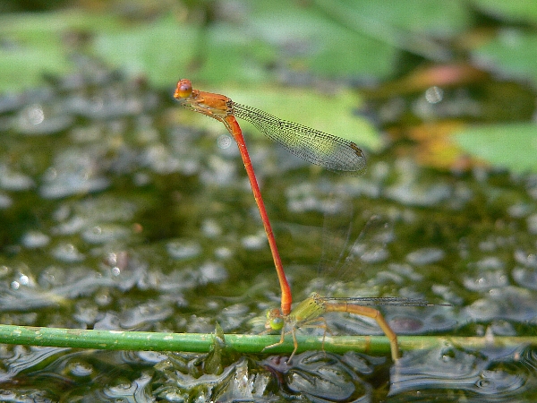 e0002314_18595582.jpg