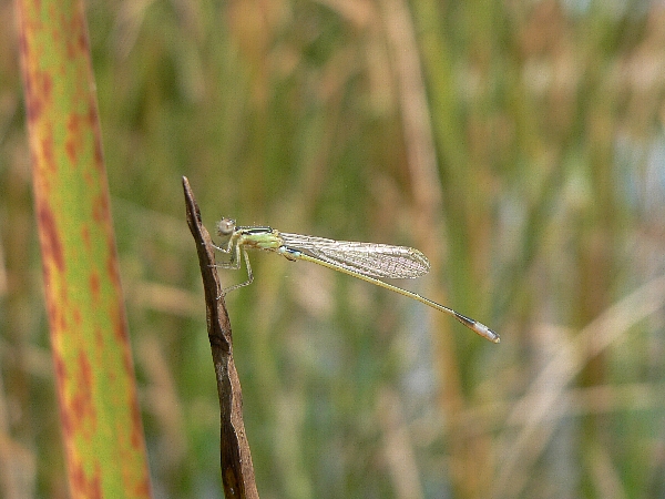 e0002314_1902194.jpg