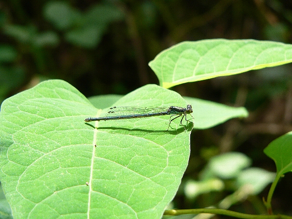 e0002314_1904461.jpg