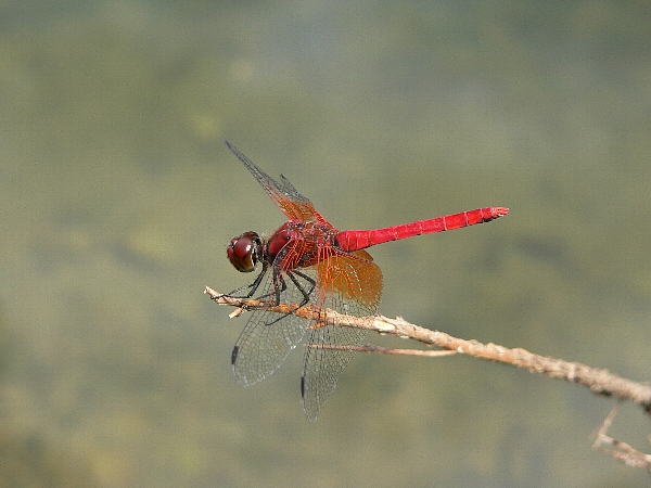 e0002314_1935656.jpg