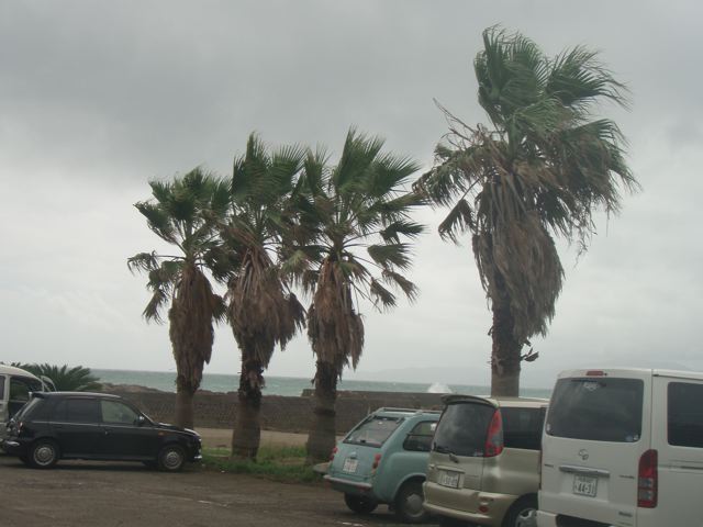 f0116314_16161075.jpg