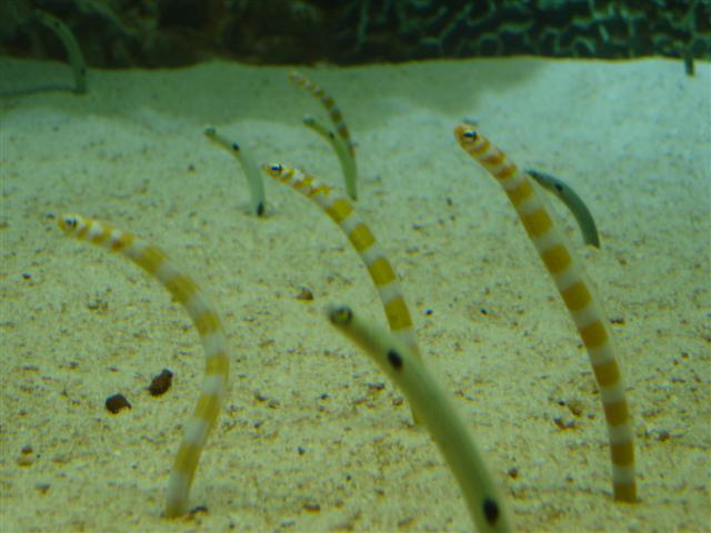 d0120021_1123627.jpg