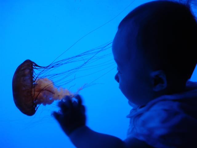 d0120021_1153151.jpg