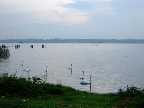 f0147025_7131361.jpg