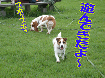 f0035044_13375575.jpg