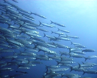 e0027447_23362683.jpg