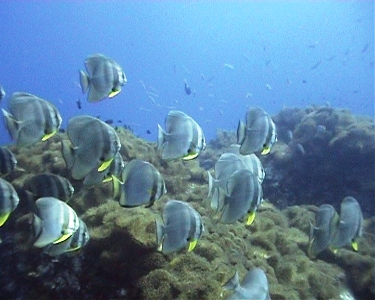 e0027447_2336573.jpg